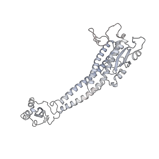 31538_7fda_O_v1-0
CryoEM Structure of Reconstituted V-ATPase, state1