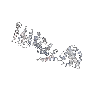 31538_7fda_P_v1-0
CryoEM Structure of Reconstituted V-ATPase, state1