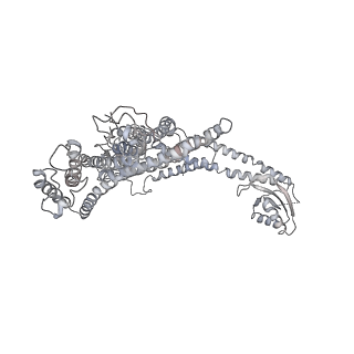 31538_7fda_Q_v1-0
CryoEM Structure of Reconstituted V-ATPase, state1