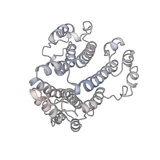 31538_7fda_S_v1-0
CryoEM Structure of Reconstituted V-ATPase, state1