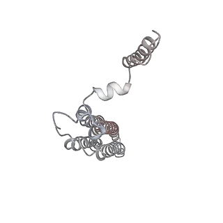 31538_7fda_T_v1-0
CryoEM Structure of Reconstituted V-ATPase, state1