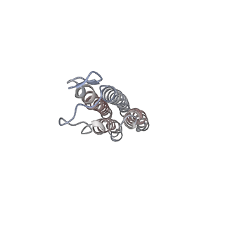 31538_7fda_U_v1-0
CryoEM Structure of Reconstituted V-ATPase, state1