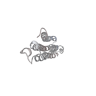31538_7fda_X_v1-0
CryoEM Structure of Reconstituted V-ATPase, state1