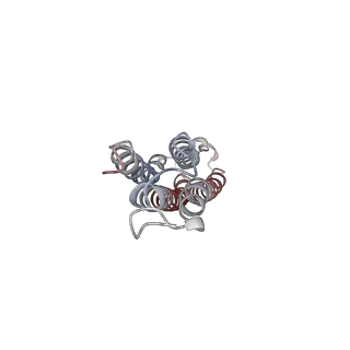 31538_7fda_Z_v1-0
CryoEM Structure of Reconstituted V-ATPase, state1