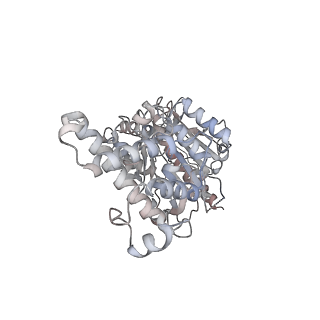 31539_7fdb_B_v1-0
CryoEM Structures of Reconstituted V-ATPase,State2