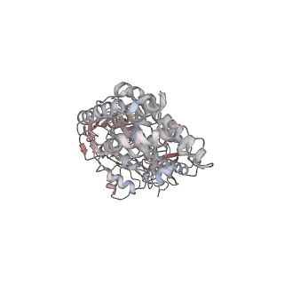 31539_7fdb_E_v1-0
CryoEM Structures of Reconstituted V-ATPase,State2