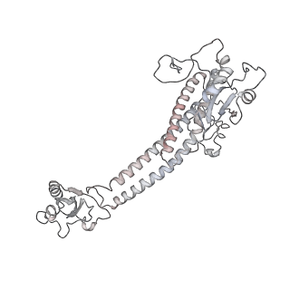 31539_7fdb_O_v1-0
CryoEM Structures of Reconstituted V-ATPase,State2