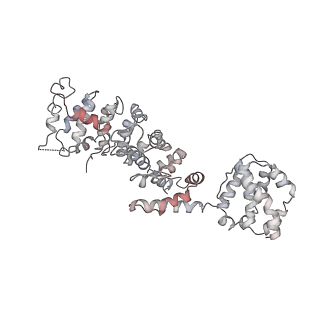 31539_7fdb_P_v1-0
CryoEM Structures of Reconstituted V-ATPase,State2