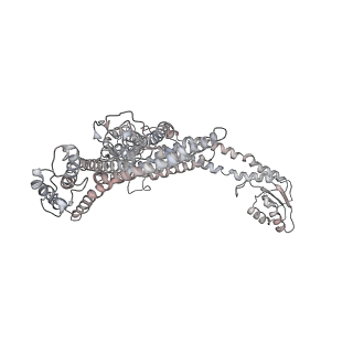 31539_7fdb_Q_v1-0
CryoEM Structures of Reconstituted V-ATPase,State2