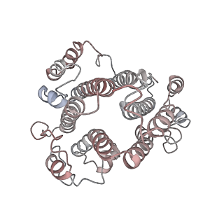31539_7fdb_S_v1-0
CryoEM Structures of Reconstituted V-ATPase,State2