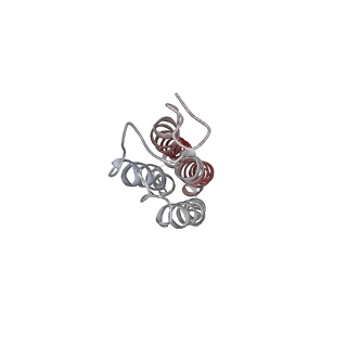 31539_7fdb_Z_v1-0
CryoEM Structures of Reconstituted V-ATPase,State2