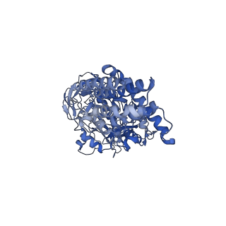 31541_7fde_C_v1-0
CryoEM Structures of Reconstituted V-ATPase, Oxr1 bound V1