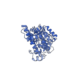 31541_7fde_F_v1-0
CryoEM Structures of Reconstituted V-ATPase, Oxr1 bound V1