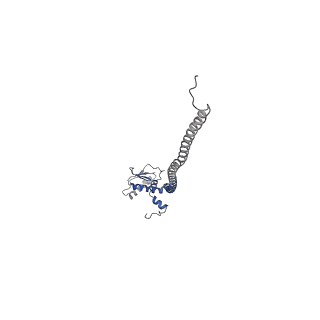 31541_7fde_G_v1-0
CryoEM Structures of Reconstituted V-ATPase, Oxr1 bound V1