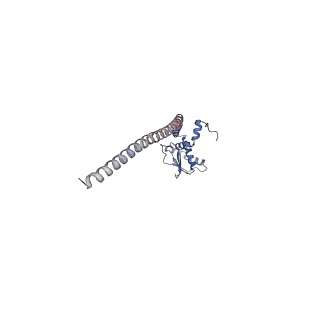 31541_7fde_I_v1-0
CryoEM Structures of Reconstituted V-ATPase, Oxr1 bound V1