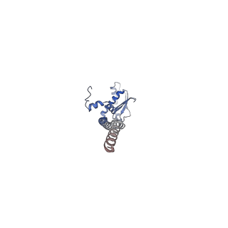 31541_7fde_K_v1-0
CryoEM Structures of Reconstituted V-ATPase, Oxr1 bound V1