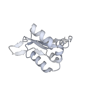 31541_7fde_N_v1-0
CryoEM Structures of Reconstituted V-ATPase, Oxr1 bound V1