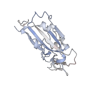 31542_7fdg_E_v1-1
SARS-COV-2 Spike RBDMACSp6 binding to hACE2