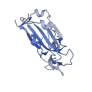 31544_7fdi_E_v1-1
SARS-COV-2 Spike RBDMACSp36 binding to hACE2