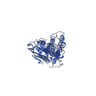 31547_7fdv_D_v1-1
Cryo-EM structure of the human cholesterol transporter ABCG1 in complex with cholesterol