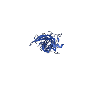 29019_8fe1_A_v1-0
Alpha1/BetaB Heteromeric Glycine Receptor in 1 mM Glycine 20 uM Ivermectin State