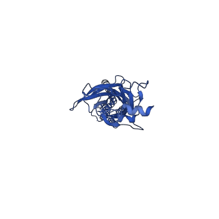 29019_8fe1_A_v1-1
Alpha1/BetaB Heteromeric Glycine Receptor in 1 mM Glycine 20 uM Ivermectin State