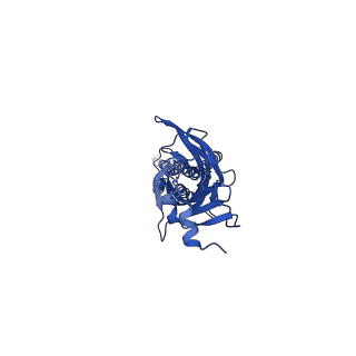 29019_8fe1_B_v1-1
Alpha1/BetaB Heteromeric Glycine Receptor in 1 mM Glycine 20 uM Ivermectin State