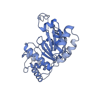 29023_8fed_G_v1-3
Structure of Mce1-LucB complex from Mycobacterium smegmatis (Map1)