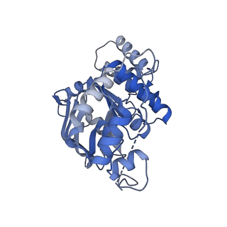 29023_8fed_H_v1-3
Structure of Mce1-LucB complex from Mycobacterium smegmatis (Map1)