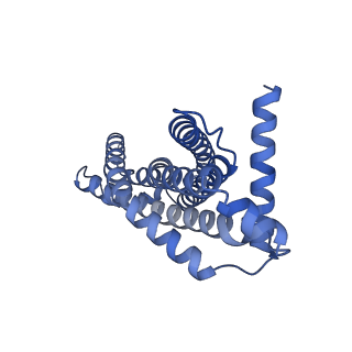 29023_8fed_I_v1-3
Structure of Mce1-LucB complex from Mycobacterium smegmatis (Map1)