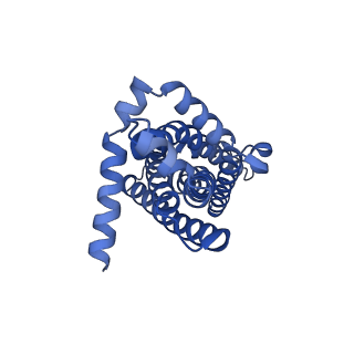 29023_8fed_J_v1-3
Structure of Mce1-LucB complex from Mycobacterium smegmatis (Map1)