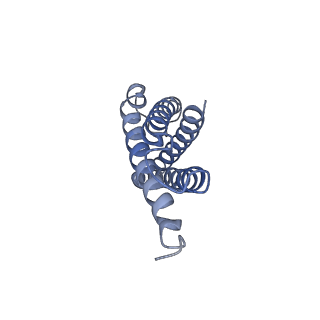 29023_8fed_K_v1-3
Structure of Mce1-LucB complex from Mycobacterium smegmatis (Map1)