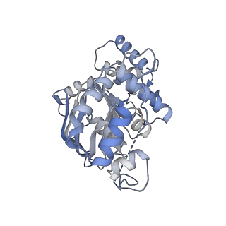 29024_8fee_H_v1-3
Structure of Mce1 transporter from Mycobacterium smegmatis in the absence of LucB (Map2)