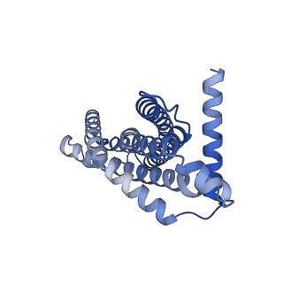 29024_8fee_I_v1-3
Structure of Mce1 transporter from Mycobacterium smegmatis in the absence of LucB (Map2)