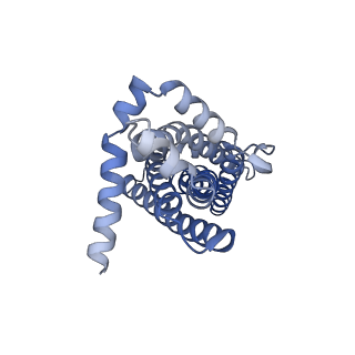 29024_8fee_J_v1-3
Structure of Mce1 transporter from Mycobacterium smegmatis in the absence of LucB (Map2)