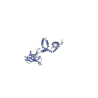 29025_8fef_E_v1-3
Structure of Mce1 transporter from Mycobacterium smegmatis (Map0)