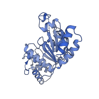 29025_8fef_G_v1-3
Structure of Mce1 transporter from Mycobacterium smegmatis (Map0)