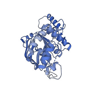 29025_8fef_H_v1-3
Structure of Mce1 transporter from Mycobacterium smegmatis (Map0)