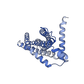 29025_8fef_I_v1-3
Structure of Mce1 transporter from Mycobacterium smegmatis (Map0)