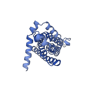 29025_8fef_J_v1-3
Structure of Mce1 transporter from Mycobacterium smegmatis (Map0)