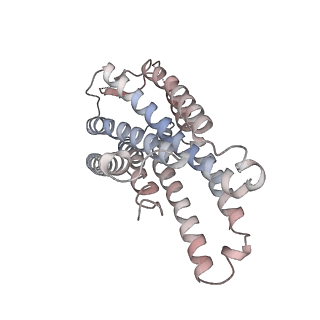 29026_8feg_B_v1-1
CryoEM structure of Kappa Opioid Receptor bound to a semi-peptide and Gi1
