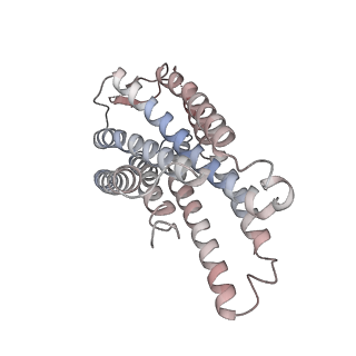 29026_8feg_B_v2-0
CryoEM structure of Kappa Opioid Receptor bound to a semi-peptide and Gi1