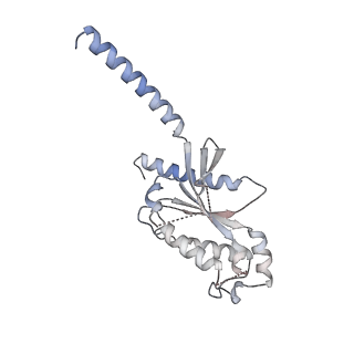 29026_8feg_C_v1-1
CryoEM structure of Kappa Opioid Receptor bound to a semi-peptide and Gi1