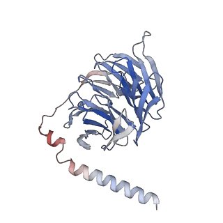 29026_8feg_D_v1-1
CryoEM structure of Kappa Opioid Receptor bound to a semi-peptide and Gi1