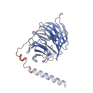 29026_8feg_D_v2-0
CryoEM structure of Kappa Opioid Receptor bound to a semi-peptide and Gi1