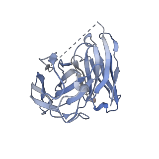 29026_8feg_F_v2-0
CryoEM structure of Kappa Opioid Receptor bound to a semi-peptide and Gi1