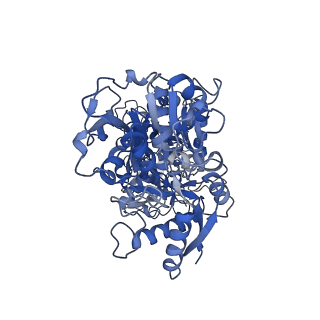 29028_8fei_A_v1-0
CryoEM structure of Conalbumin from chicken egg white (sigma-Cas 1391-06-6)