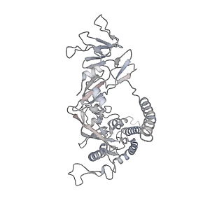 29029_8fej_A_v1-2
Langya Virus Fusion Protein (LayV-F) in Pre-Fusion Conformation