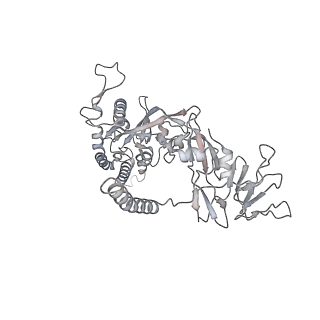 29029_8fej_B_v1-2
Langya Virus Fusion Protein (LayV-F) in Pre-Fusion Conformation
