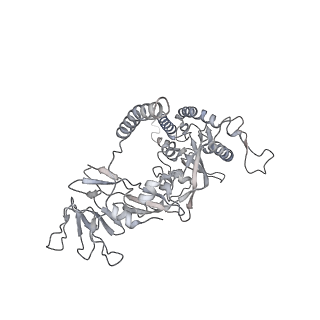 29029_8fej_C_v1-2
Langya Virus Fusion Protein (LayV-F) in Pre-Fusion Conformation